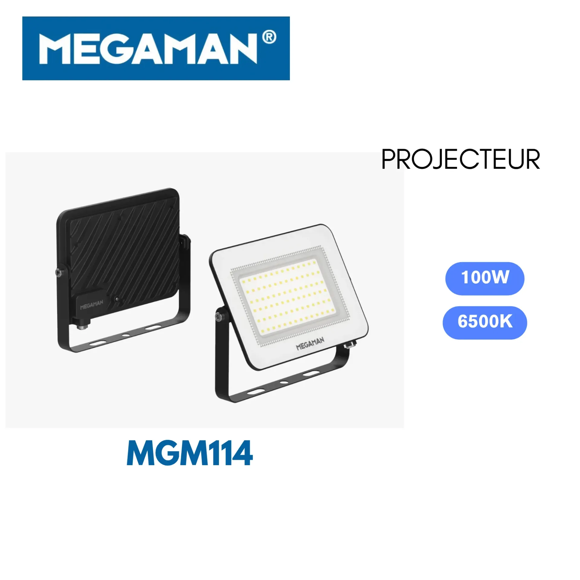 [MGM114] Projecteur led 100w 6500K Flood Megaman (8pcs/ct)