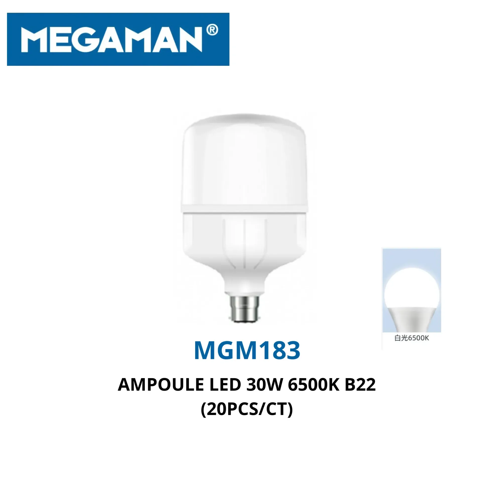 [MGM183] Ampoule led 30W 6500K B22 MEGAMAN (20pcs/ct)